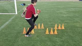 U12 Goalkeeper Training [upl. by Yanehs]