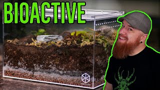 How To Build a Tarantula Bioactive Enclosure  YOU CAN DO IT [upl. by Mahala]