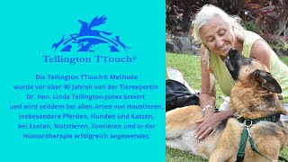 Die Tellington TTouch® Methode für Hunde [upl. by Ydnih]