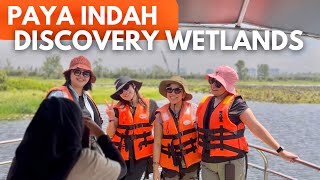 🇲🇾 Paya Indah Discovery Wetlands Adventure [upl. by Ahsieyt]