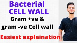 Bacterial Cell Wall Microbiology  Bacterial Cell structure [upl. by Accever]