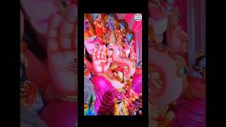 Ganapathi💥 ganapatibappamorya🙏🏻 2024🔥 Use🎧tamil trending viralvideo comedy love drums [upl. by Annnora]