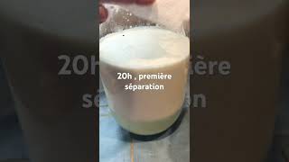 Kéfir de lait  astuce gain de temps kefirfromages autonomiealimentaire Quebec [upl. by Weinreb777]