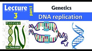 3aDNA replication part1Steps of replicationGenetics [upl. by Aig]