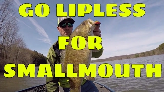 Lipless Rattle Traps Crankbaits for bass learn how I use a lipless crankbait for smallmouth [upl. by Enimsay]