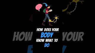 How Does Your Body KNOW What To Do shorts [upl. by Kathlene]