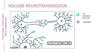 NEUROSCIENCE  WHAT IS VOLUME NEUROTRANSMISSION [upl. by Nnayllas483]