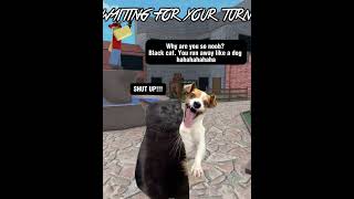 CAT mm2 meme memes roblox meme bloxfruits catmemes murdermystery2 survive cat r63 [upl. by Erinn]