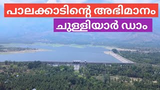 കേരളത്തിലെ ഏറ്റവും വലിയ എർത്ത് ഡാംChulliyar Dam Palakkad [upl. by Ajaj]