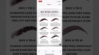 Microblading Healing Stages microblading microshading eyebrows brows healing stages [upl. by Goldina14]