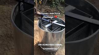 Honey mechine 💔 coimbatore chennai chennaisuperkings vadapalani marina marinabeach honey bee [upl. by Xenos]