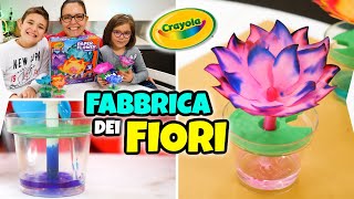 LA FABBRICA DEI FIORI CRAYOLA Come Fare Fiori Colorati Incredibili [upl. by Vida]