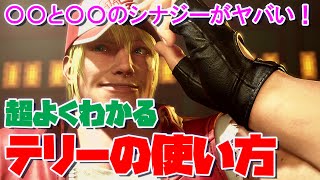 【SF6】超よくわかるテリーの使い方【立ち回り・コンボ・起き攻め・セットプレイ】 [upl. by Hibbitts]