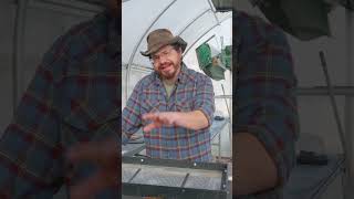 Tip For Seeding Microgreens With A Drop Seeder [upl. by Leval]