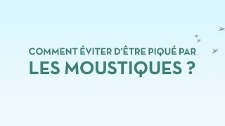 Le guide pour lutter efficacement contre les moustiques [upl. by Enilkcaj849]