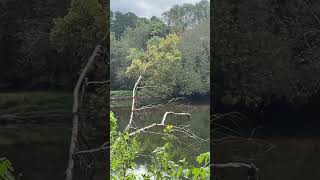 Etowah river at Etowah Indian Mounds State Historic Site [upl. by Frederich]