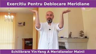 Deblocarea Meridianelor Energetice ale Mainii Si Echilibrarea Lor Yin  Yang [upl. by Snahc]