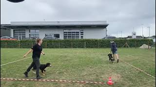 Entlebucher Sennenhunde ShowTraining [upl. by Muscolo699]