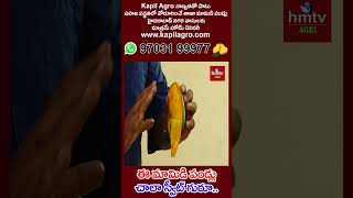 ఈ మామిడి పండ్లు చాలా స్వీట్ గురూ   kapil agro farms mango varieties  nelathalli hmtvagri [upl. by Shult397]