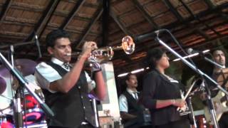 Nexus Band Goa [upl. by Jeana31]