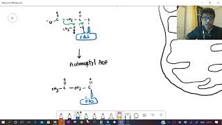 Membrane phospholipid biosynthesis CSIR UGC NETGATEIIT JAMJNU CEEB [upl. by Adlay]