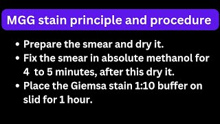 mgg stain principle and procedure May grunwald giemsa stain [upl. by Beaufort781]