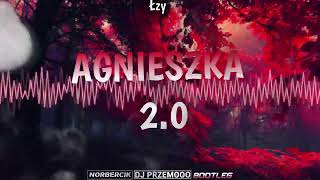 Łzy  Agnieszka 20  Dj Przemooo amp norbercik Bootleg [upl. by Marie-Jeanne]