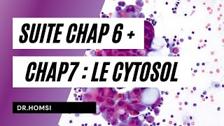 Cytologie  Suite Chap 6  Chap 7 Le Cytosol  Dr Homsi [upl. by Liahkim]