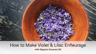 How to Make Violet amp Lilac Enfleurage DIY Essential Oils [upl. by Daub]