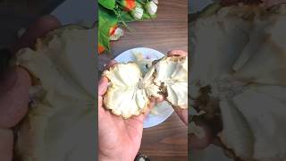 Sitafal Icecream Recipe Without Whipping Cream custard apple cream Recipe icecream custardapple [upl. by Wilonah]