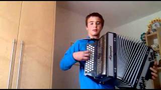 simon oberhammer steirische Harmonika der haarige [upl. by Lantha]