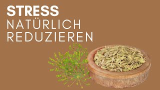 Der Wirkstoffkompass » PASSIONSBLUME  FENCHEL  LÖWENZAHN [upl. by Rma441]