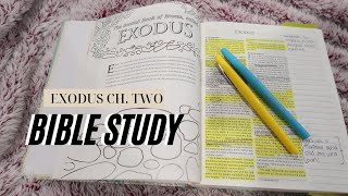 EXODUS 2  BIBLE STUDY WITH ME  Faith Friday [upl. by Rednaeel227]