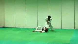 Hapkido Combat Tactics [upl. by Chariot]