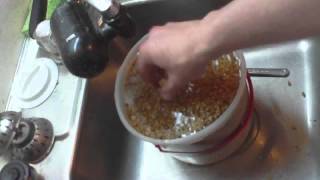 HOMEBREW HOW TO make malted barley [upl. by Chill]