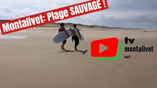 MONTALIVET  🏄‍♂️ Plage sauvage le Dimanche matin  Montalivet Surf TV [upl. by Traweek]