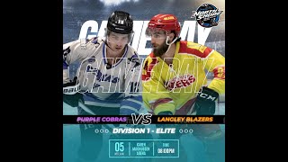 Div 1 Elite  Purple Cobras vs Blazers [upl. by Peggi]