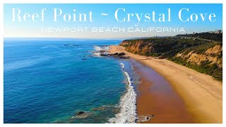 Diving Crystal Cove Reef Point of Newport Beach California [upl. by Einahpet589]