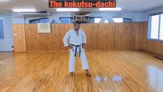 JKA HQ 2020 kokutsu dachi K Kurihara sensei [upl. by Tann337]