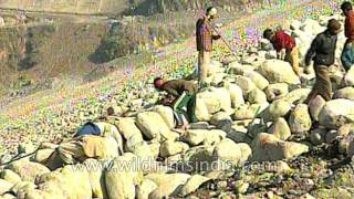 Himalayan Dam construction in India  mountain hydropower [upl. by Namya]