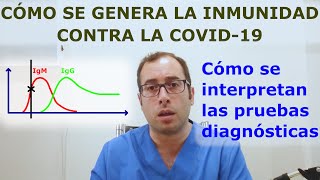 Qué significan las pruebas serológicas del COVID 19 y cómo se desarrolla la respuesta inmunitaria [upl. by Chladek]