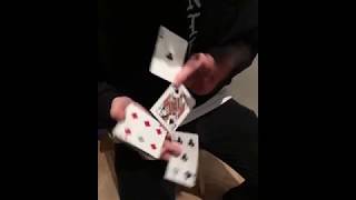 Nikolaj Honoré Best Cardistry Compilation 37 [upl. by Ema]