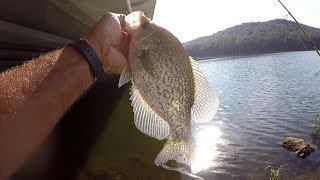 Summer Crappie Fishing From The Bank  2018 [upl. by Acceb]