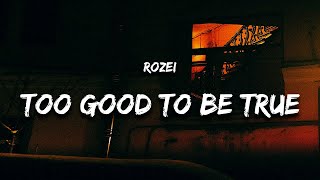 Rozei  too good to be true Lyrics w Bangers Only [upl. by Ellasal]