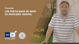 POSTULADOS DE KOCH EN PATOLOGÍA VEGETAL [upl. by Dragon874]