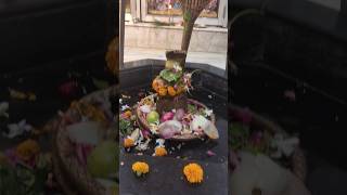 ✅Har Har Mahadev Puja vishveshwar Mahadev Puja Arti Shiv Mandir Vaishali Colony🙏 [upl. by Rucker]