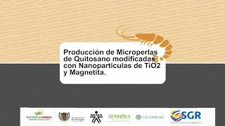 04 Producción de bioadsorbentes de quitosano con nanopartículas magnéticas y fotocatalíticas [upl. by Danyelle442]