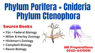 Phylum Porifera Phylum Cnideria amp Ctenophora Characteristics amp Classification  Kingdom Animalia [upl. by Oicaroh974]