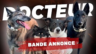 JACK RUSSELL ET SPITZ NAIN AGRESSIFS  Bandeannonce [upl. by Yma]