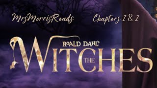 THE WITCHES Chapters 1 amp 2 Read Aloud [upl. by Megen512]